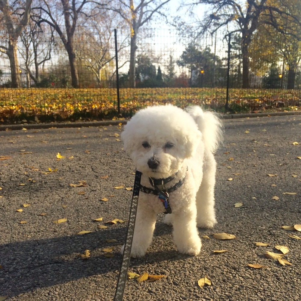 Meet your Posher, Kim